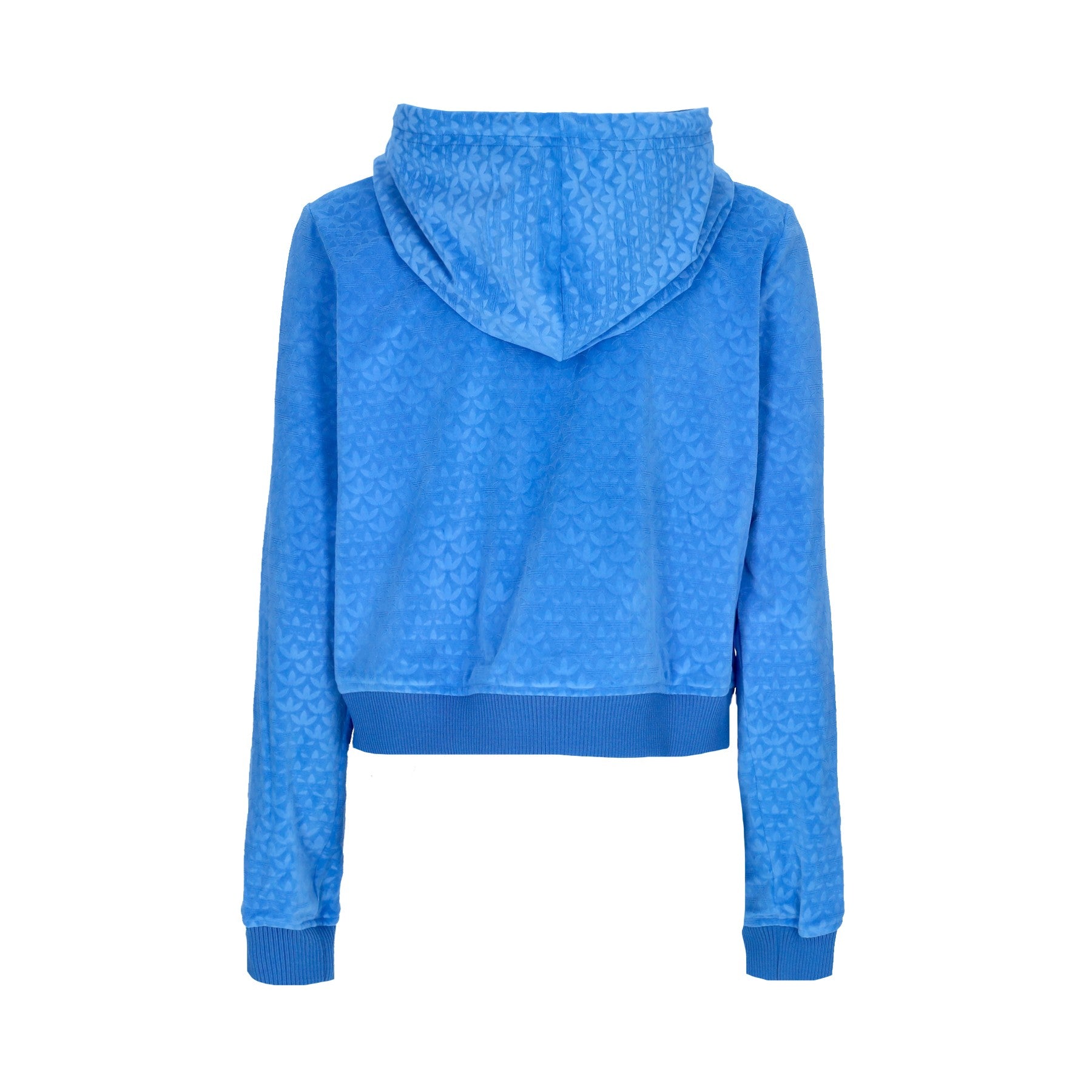 Women's Hooded Tracksuit Jacket Velor Zip Hoodie Blue Bird