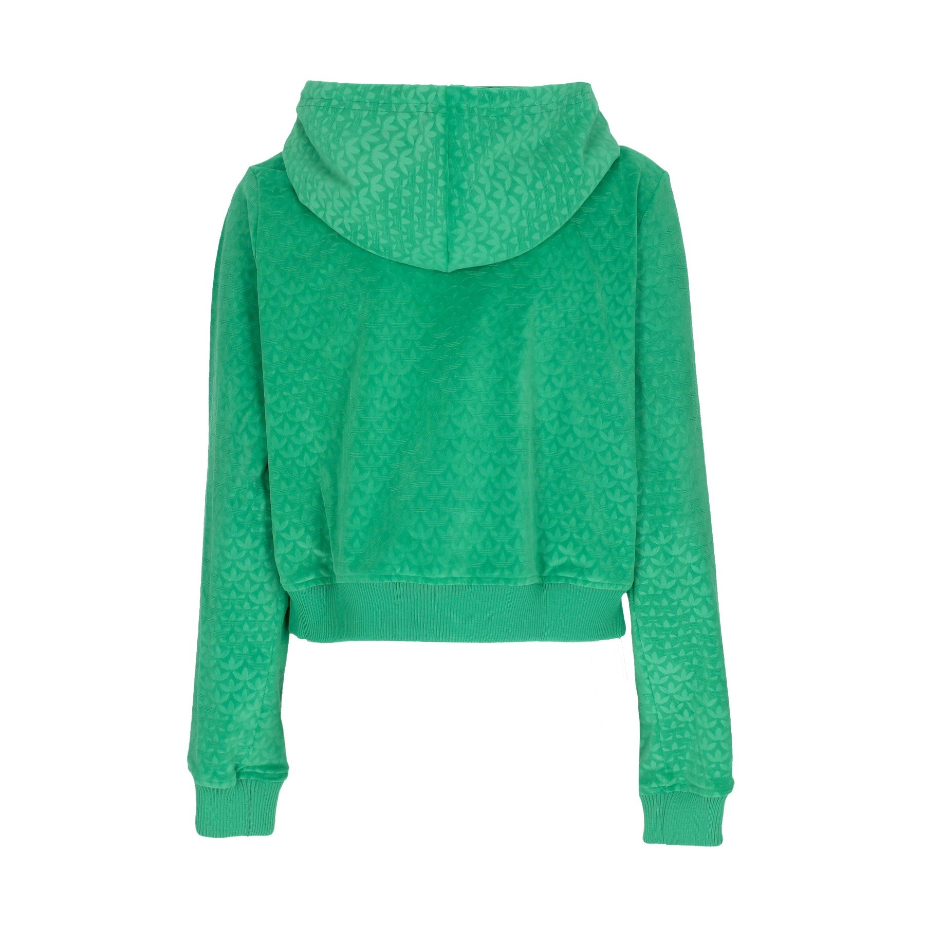 Women's Velor Zip Hood Tracksuit Jacket Green