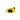 Cintura Uomo Orbit Belt Sunflower/black I025745