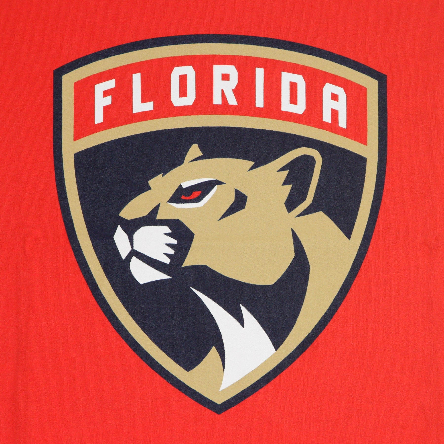 Fanatics Branded, Maglietta Uomo Nhl Iconic Primary Colour Logo Graphic T-shirt Flopan, 