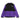 Denali 2 Jacket Peak Purple Men's Fleece Jacket
