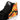Vans, Scarpa Alta Ragazzo Comfy Cush Sk8-hi (flame Camo), 