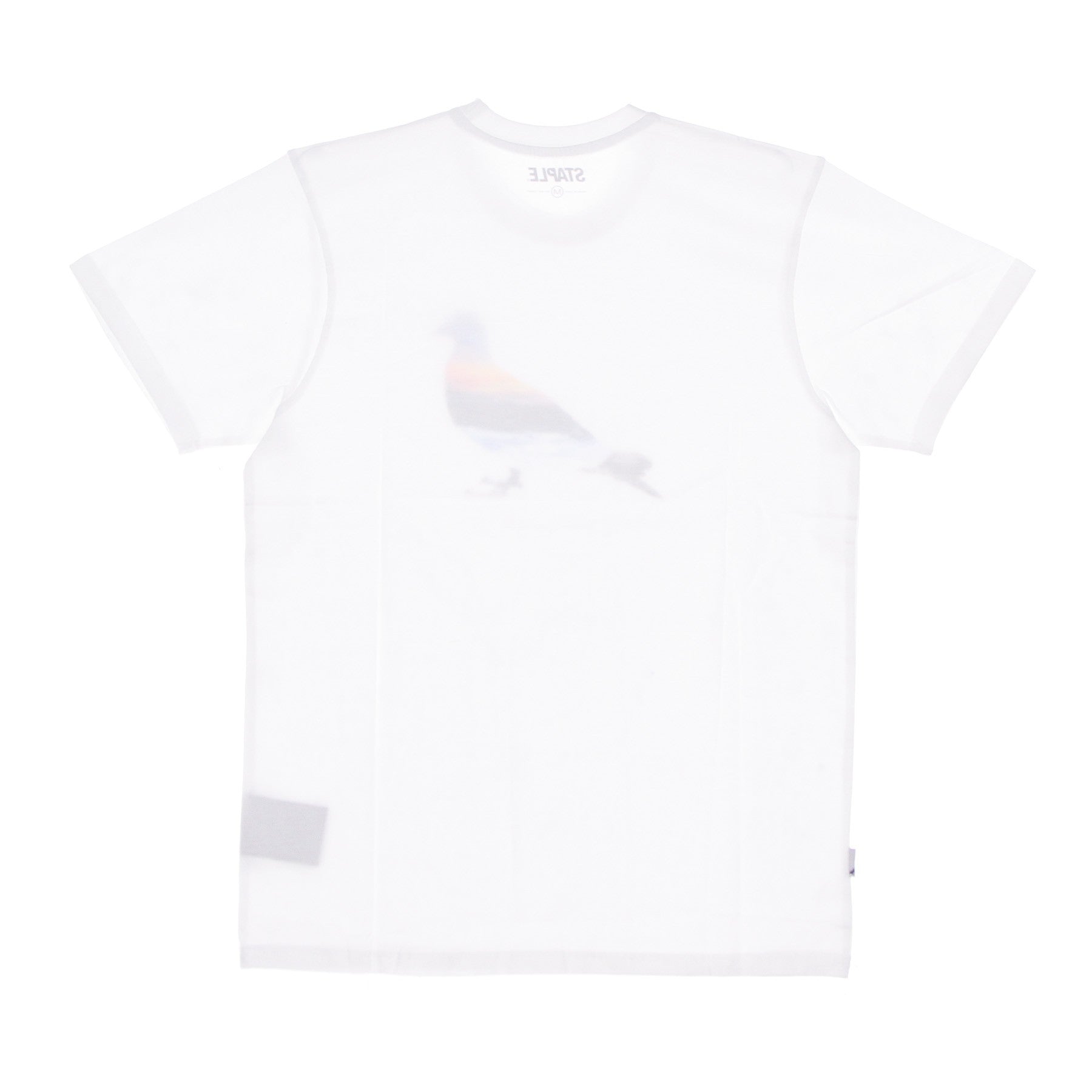 Staple, Maglietta Uomo Sunset Pigeon Tee, 