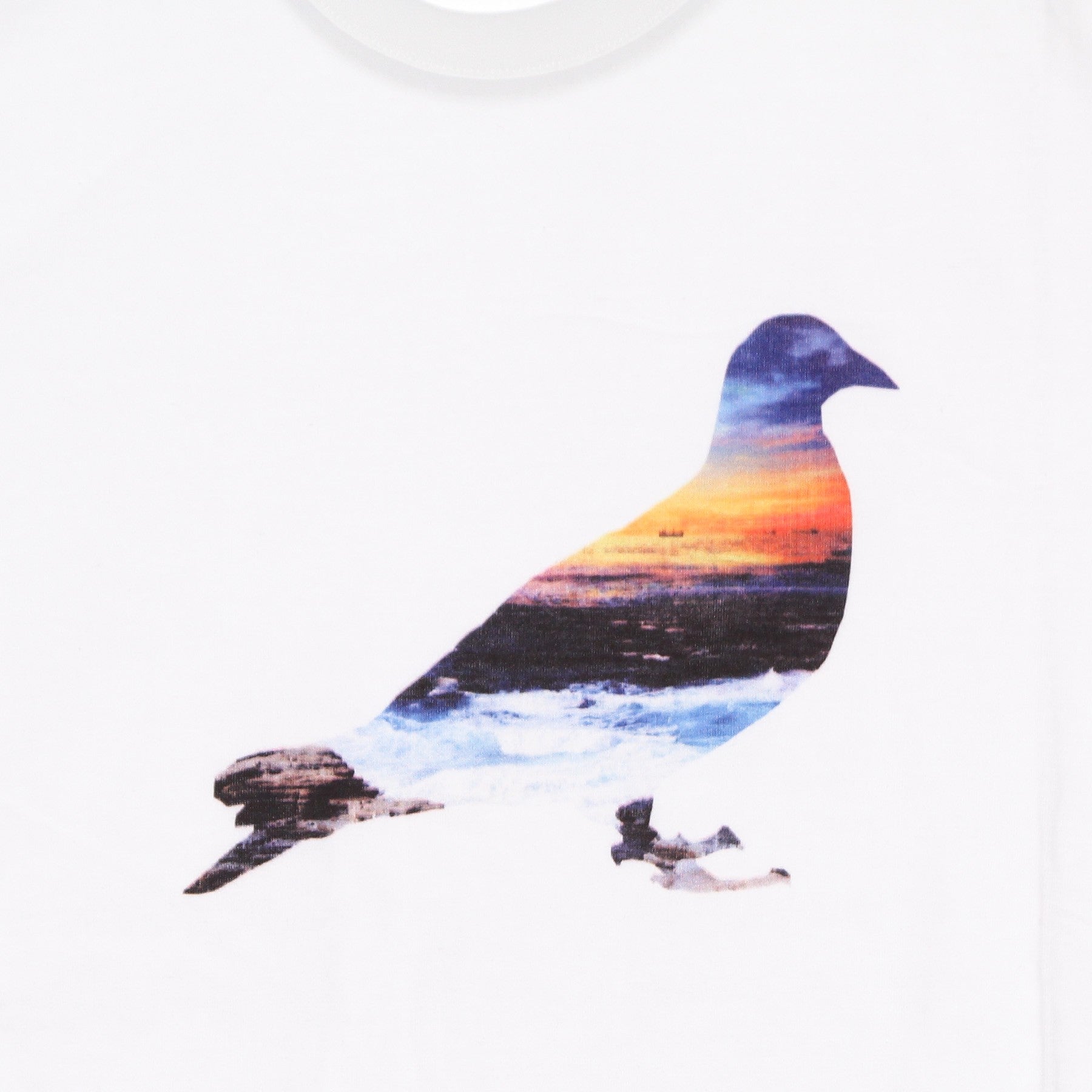 Staple, Maglietta Uomo Sunset Pigeon Tee, 