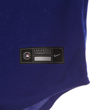 Men's MLB Official Replica Jersey Losdod Alternate Baseball Jacket
