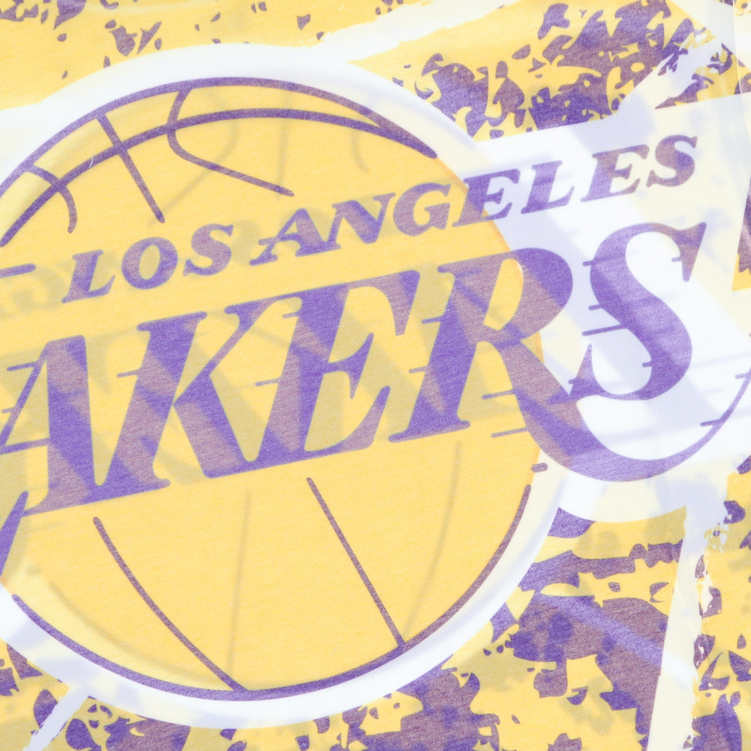 Mitchell & Ness, Maglietta Uomo Nba Jumbotron Tee Hardwood Classics Loslak, 