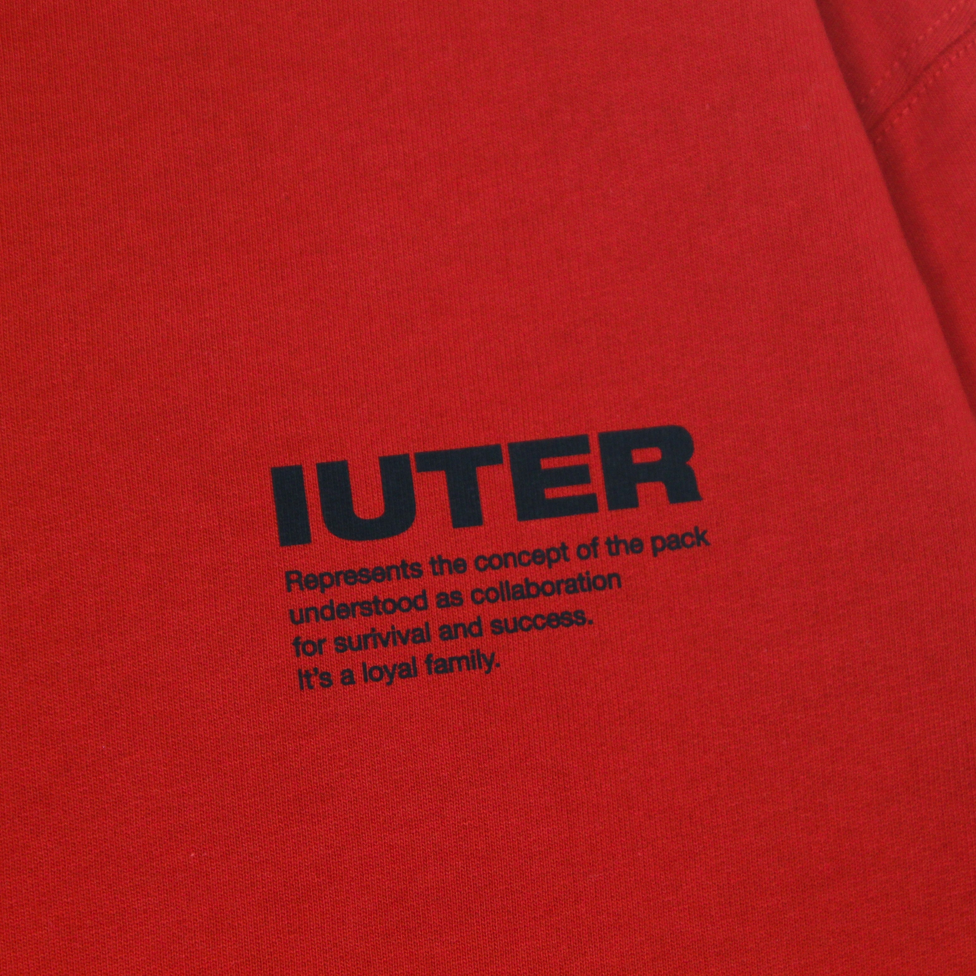 Iuter, Felpa Girocollo Uomo Info Crewneck, 