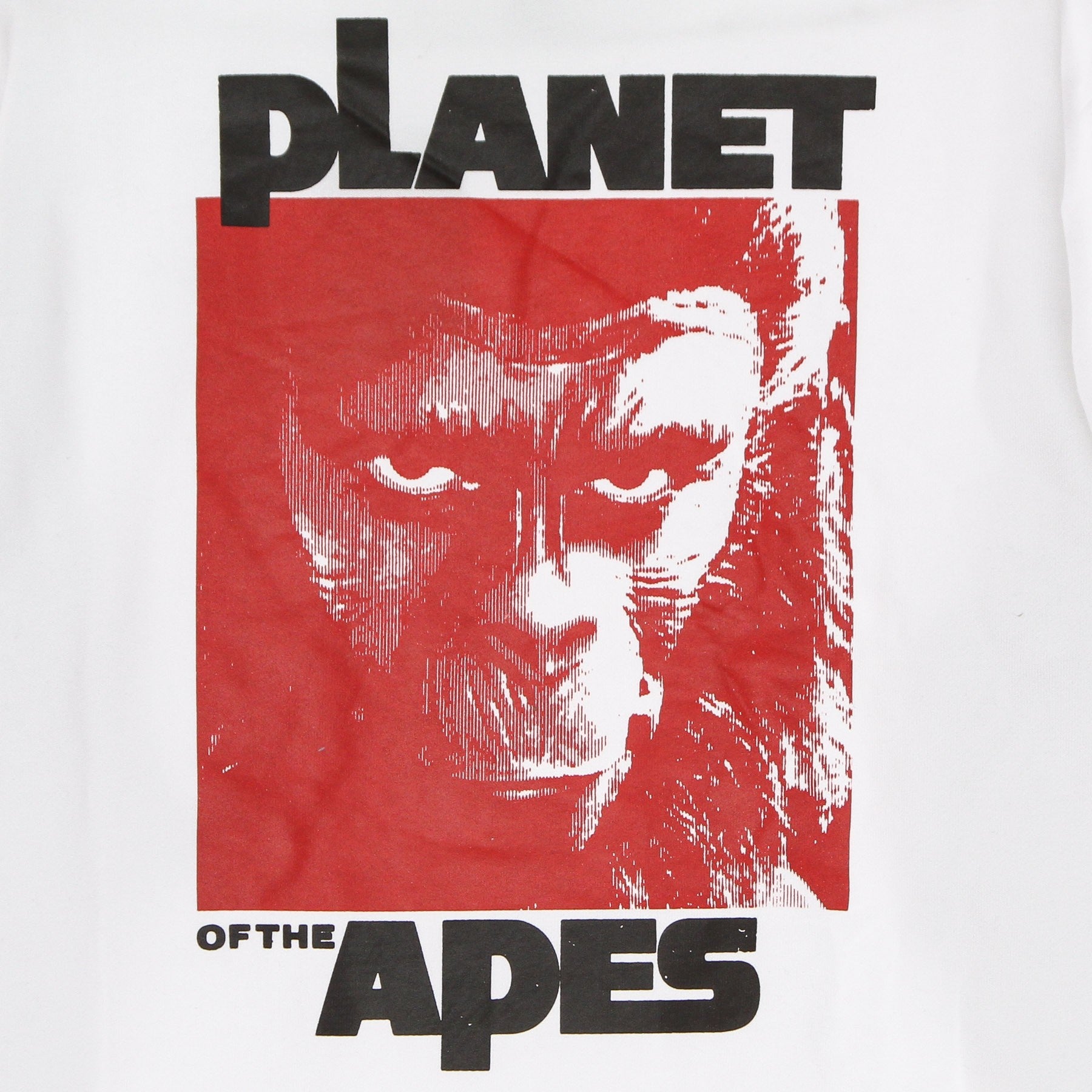 Element, Felpa Girocollo Uomo Pota Dominion Crewneck, 