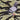 Staple, Maglietta Uomo Pigeon Logo Tee, 