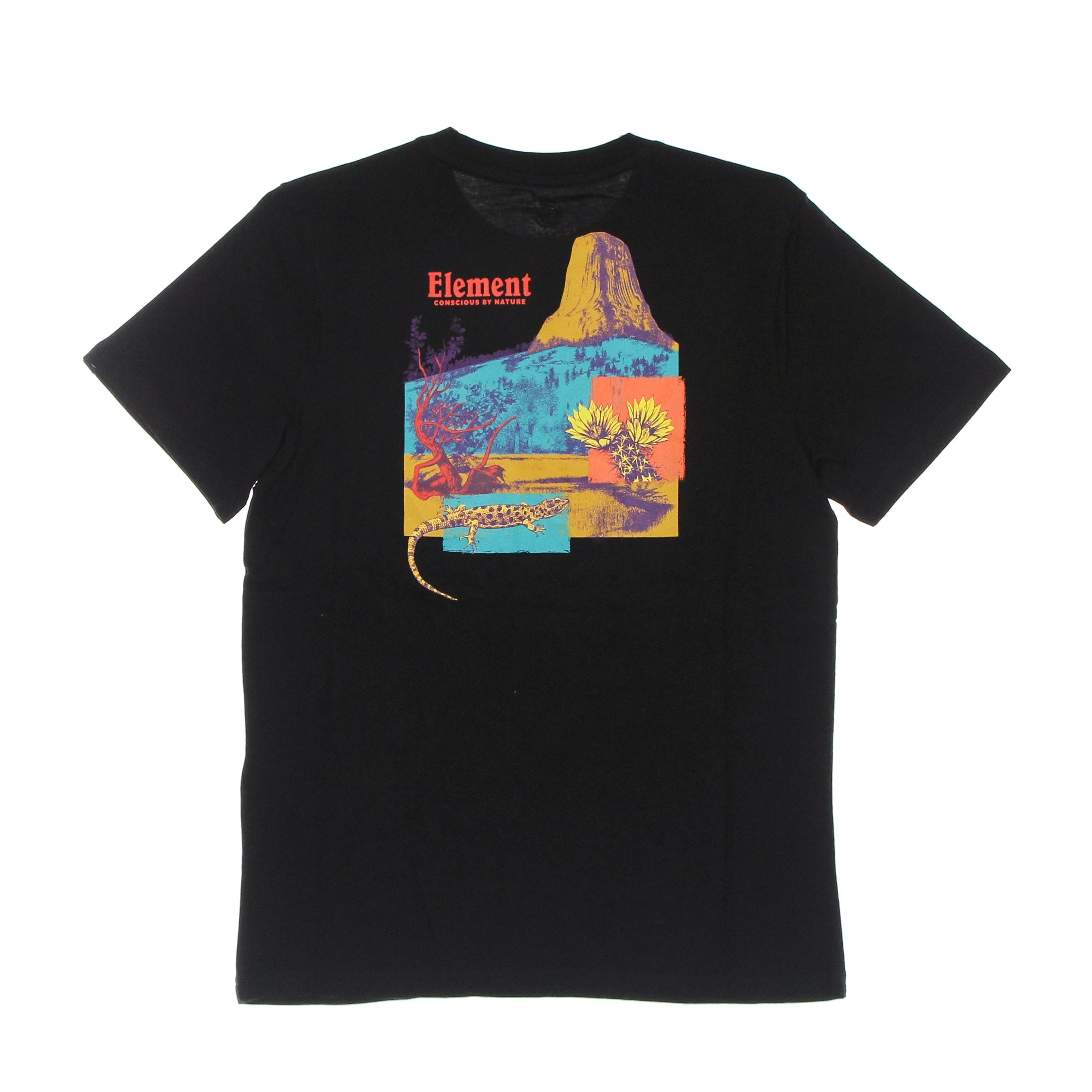 Element, Maglietta Uomo Bazan Tee, Flint Black