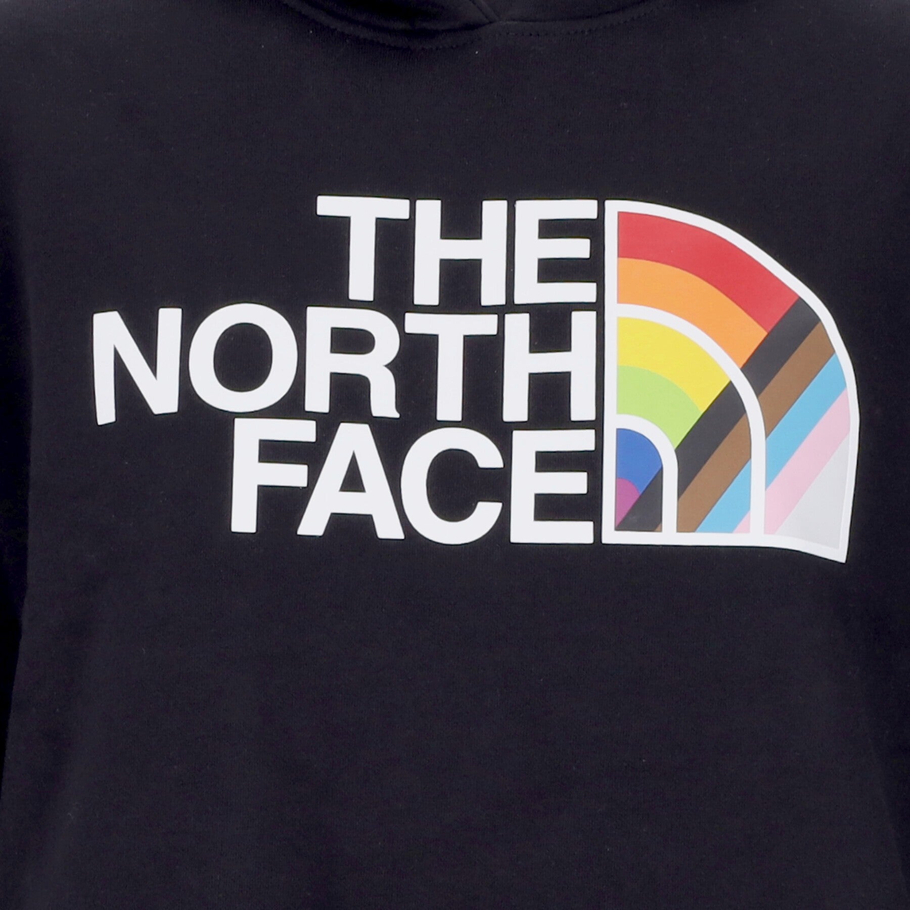 The North Face, Felpa Cappuccio Donna Pride Pullover Hoodie, 