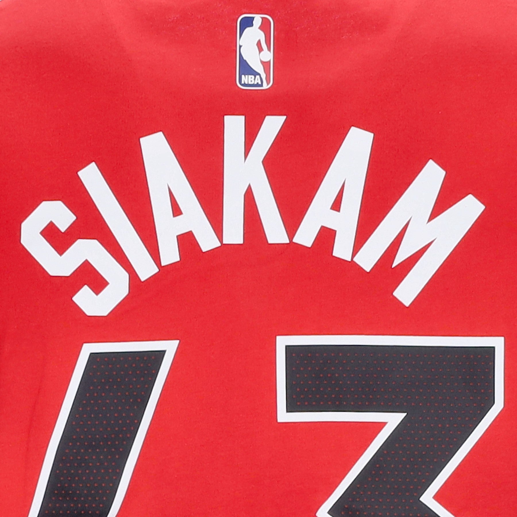 Nike Nba Men's T-Shirt Nba Essentials No 43 Pascal Siakam Torrap