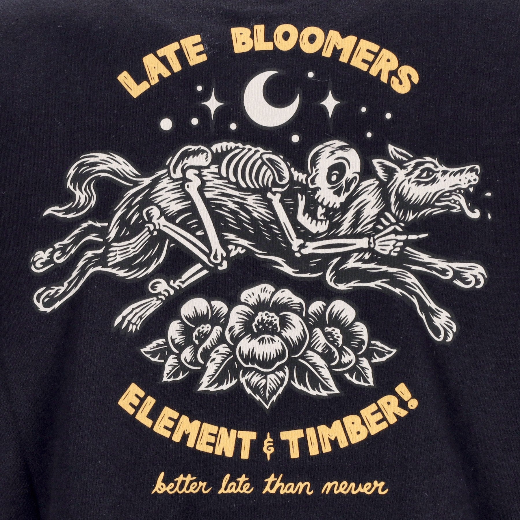 Element, Maglietta Uomo The Rider Tee X Timber, 