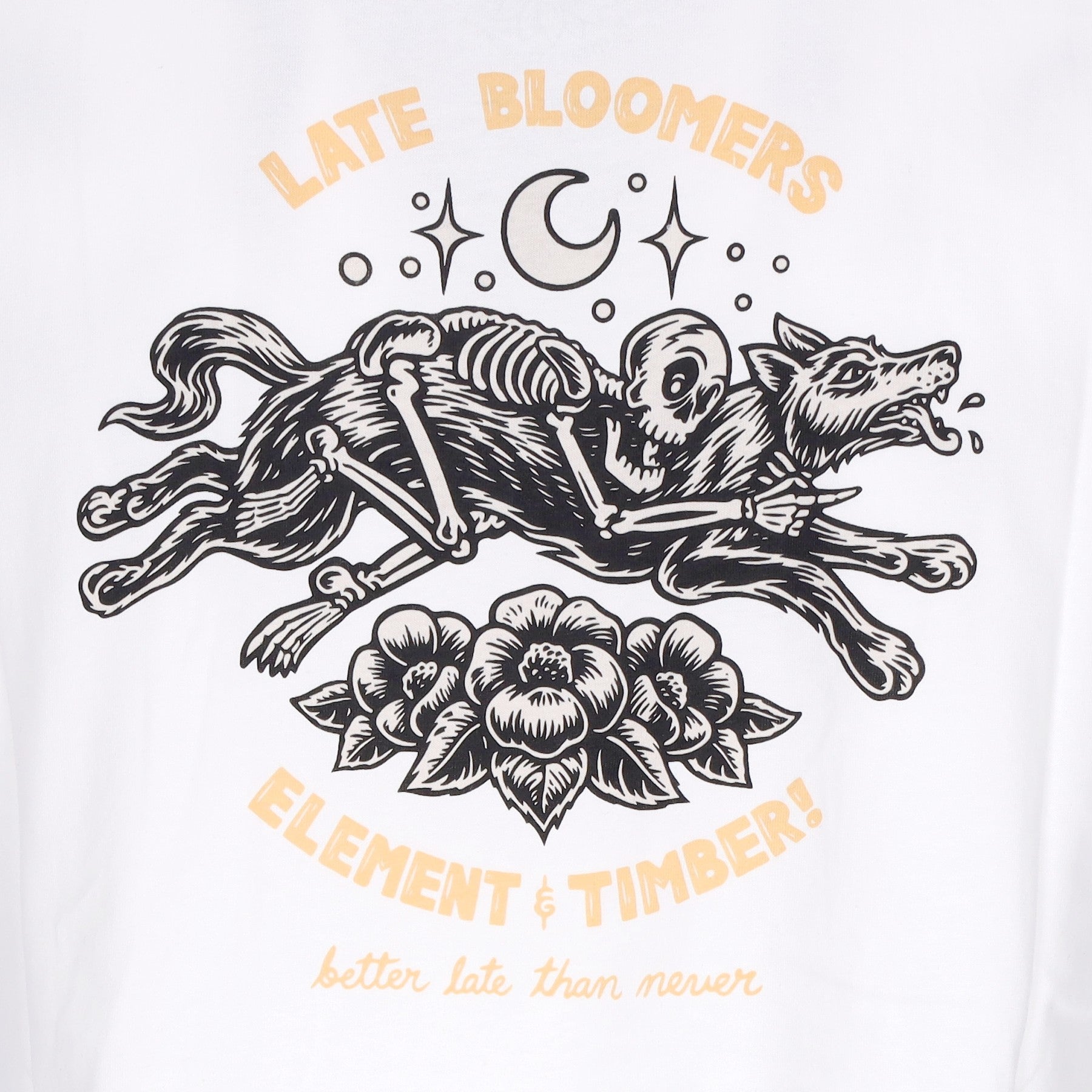 Element, Maglietta Uomo The Rider Tee X Timber, 