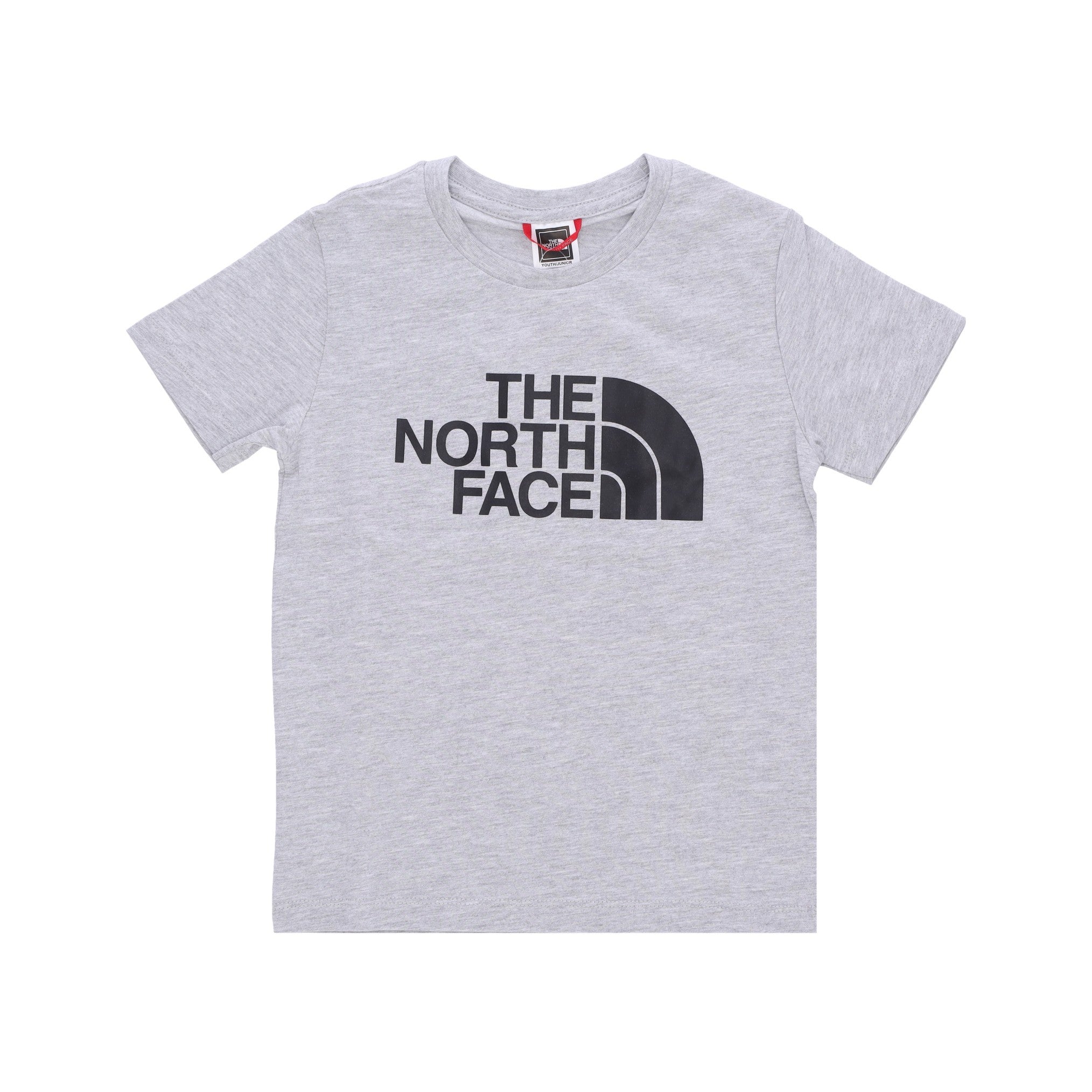 The North Face, Maglietta Ragazzo Easy Tee, Light Grey Heather