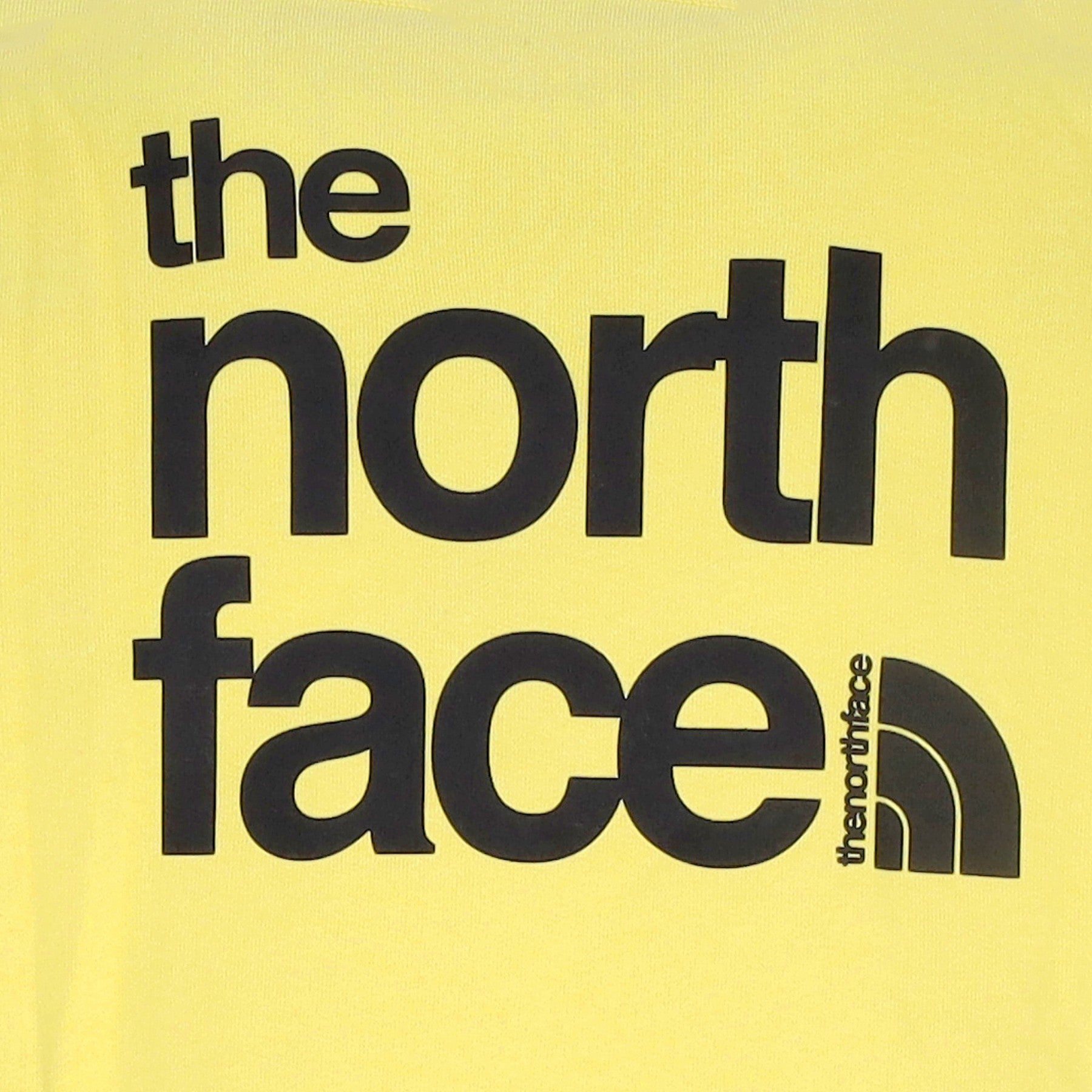 The North Face, Felpa Cappuccio Uomo Coordinates Hoodie, 