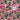 Casacca Bottoni Uomo Monogram Baseball Jersey Camouflage