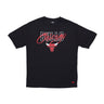 New Era, Maglietta Uomo Nba Script Os Mesh Tee Chibul, Black/front Door Red