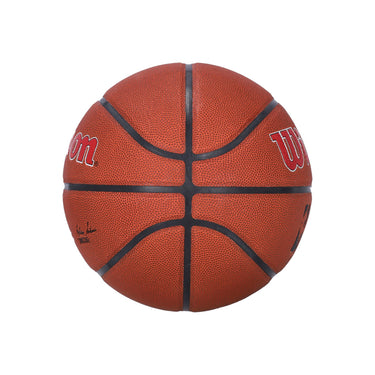 Pallone Uomo Nba Team Alliance Basketball Size 7 Houroc Original Team Colors