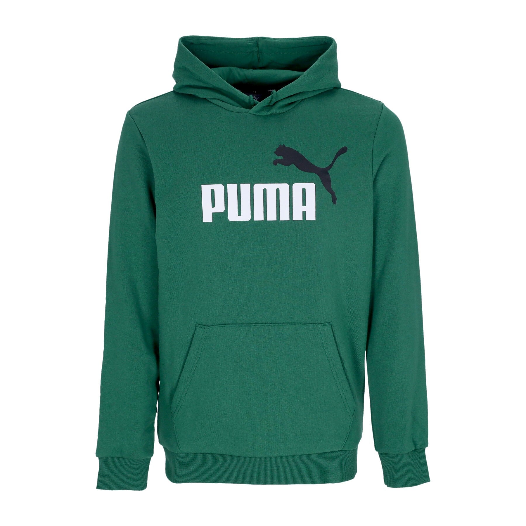 Puma, Felpa Leggera Cappuccio Uomo Ess+ 2 Col Big Logo Hoodie, Vine
