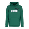 Puma, Felpa Leggera Cappuccio Uomo Ess+ 2 Col Big Logo Hoodie, Vine