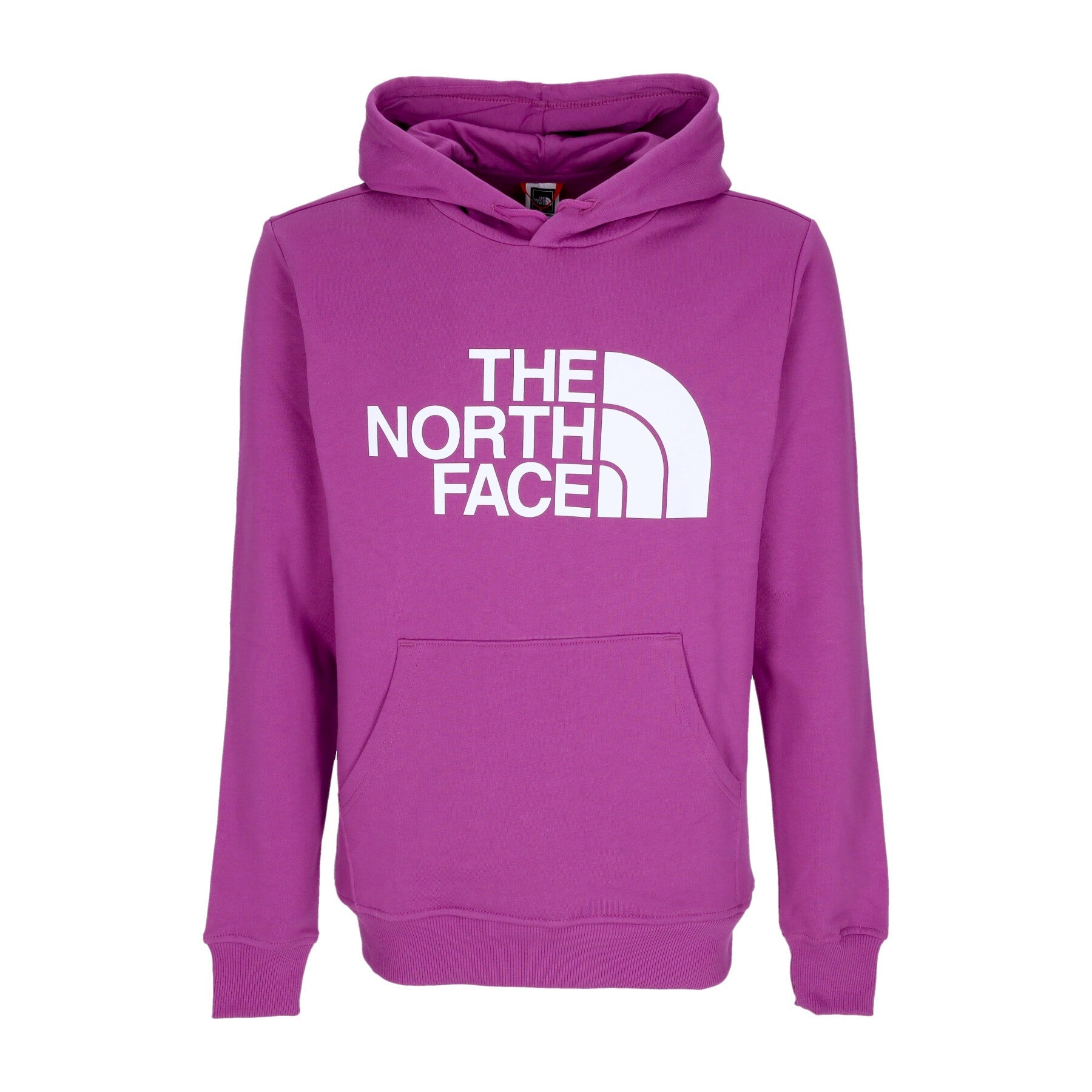 The North Face, Felpa Cappuccio Uomo Standard Hoodie, Purple Cactus Flower