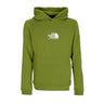 The North Face, Felpa Cappuccio Uomo Fine Alpine Hoodie, Calla Green