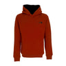 The North Face, Felpa Cappuccio Uomo Seas Drew Peak Hoodie, Brandy Brown