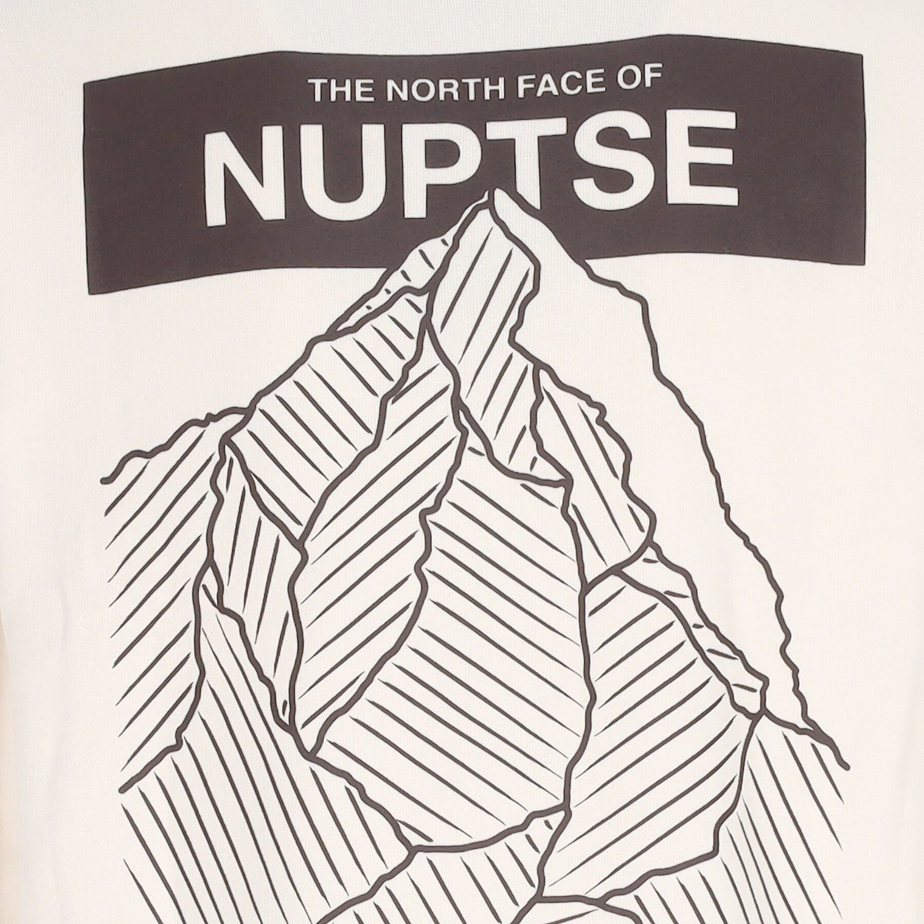 The North Face, Felpa Cappuccio Corta Donna W Nuptse Face Hoodie, 