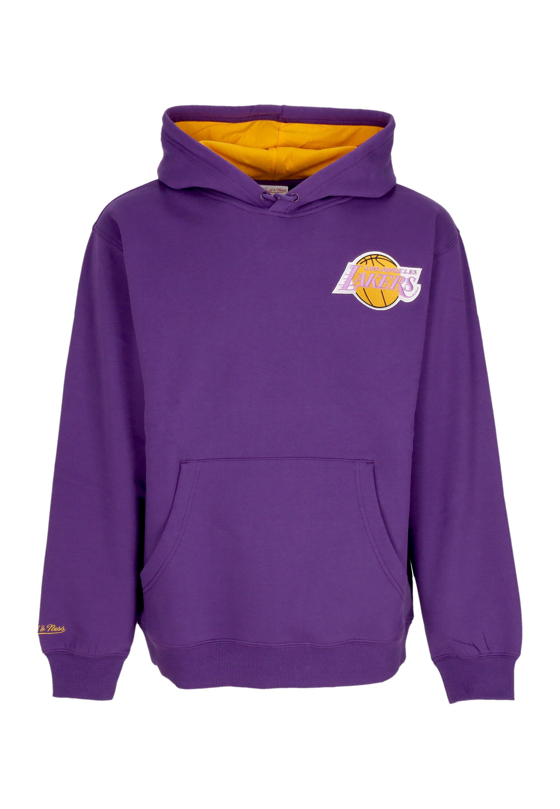 Felpa Cappuccio Uomo Nba Premium Fleece Vintage Logo Hoodie Ervin Johnson Loslak Purple FNNC6612-LALYYEJSPURP