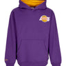 Felpa Cappuccio Uomo Nba Premium Fleece Vintage Logo Hoodie Ervin Johnson Loslak Purple FNNC6612-LALYYEJSPURP