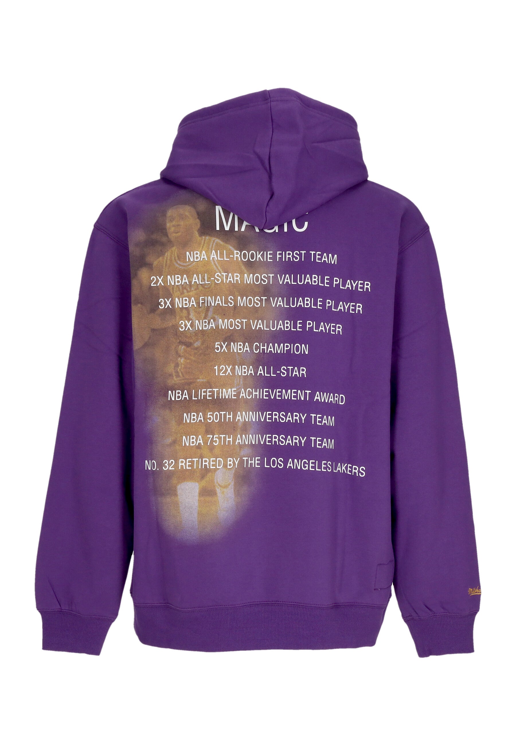 Felpa Cappuccio Uomo Nba Premium Fleece Vintage Logo Hoodie Ervin Johnson Loslak Purple FNNC6612-LALYYEJSPURP