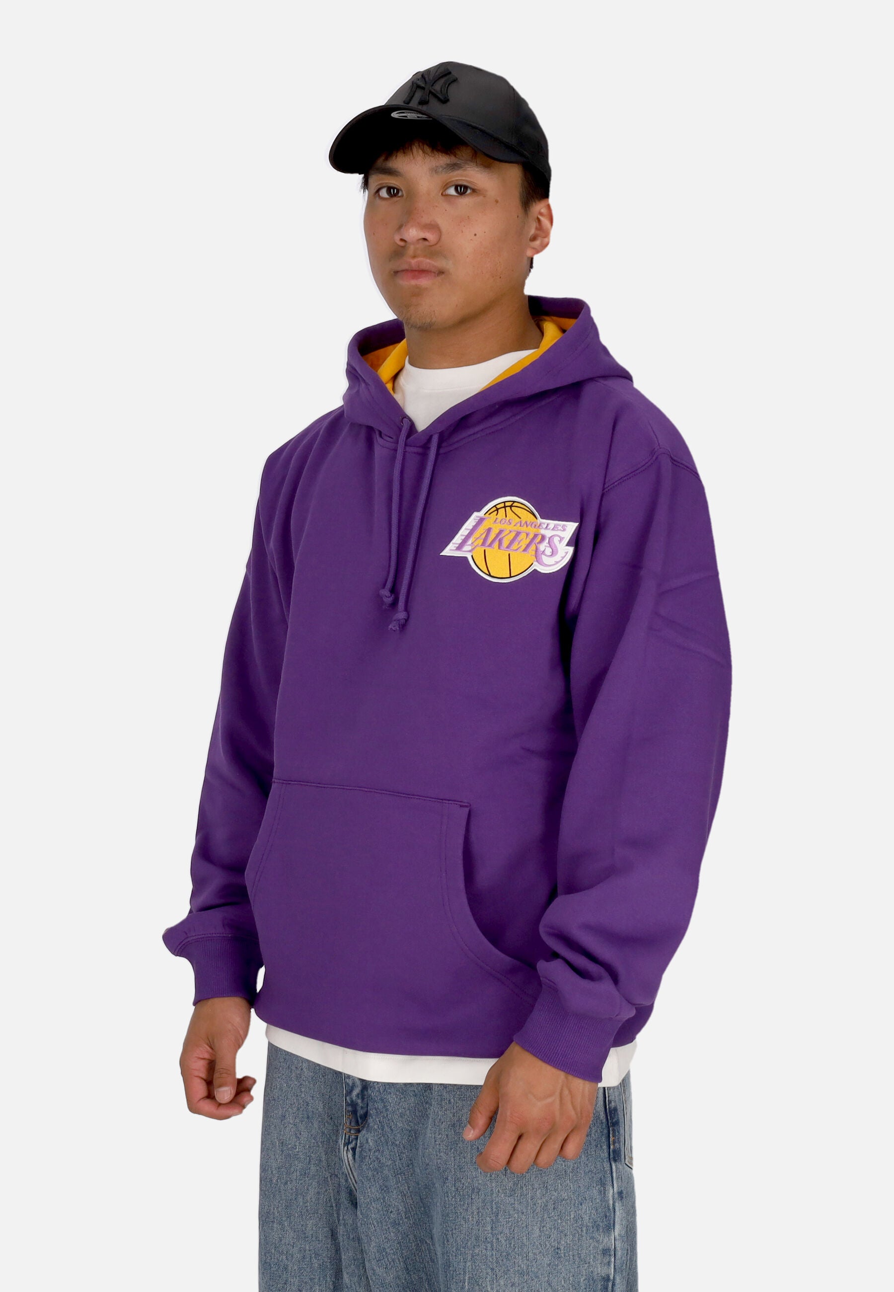 Felpa Cappuccio Uomo Nba Premium Fleece Vintage Logo Hoodie Ervin Johnson Loslak Purple FNNC6612-LALYYEJSPURP