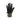Guanti Uomo Etip Recycled Glove New Taupe Green NF0A4SHA21L1