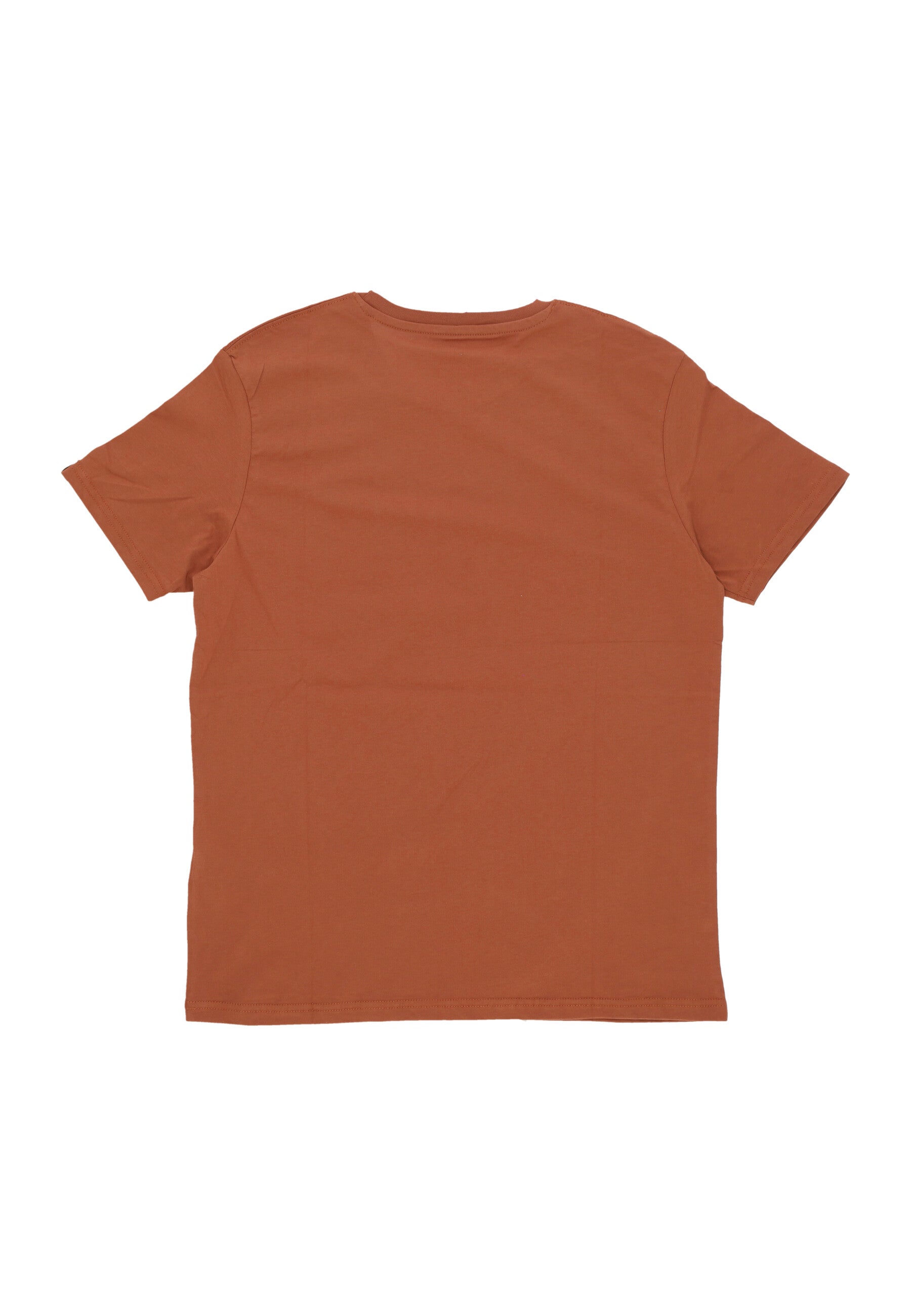Maglietta Uomo Basic Tee Hazel Brown 100501AI
