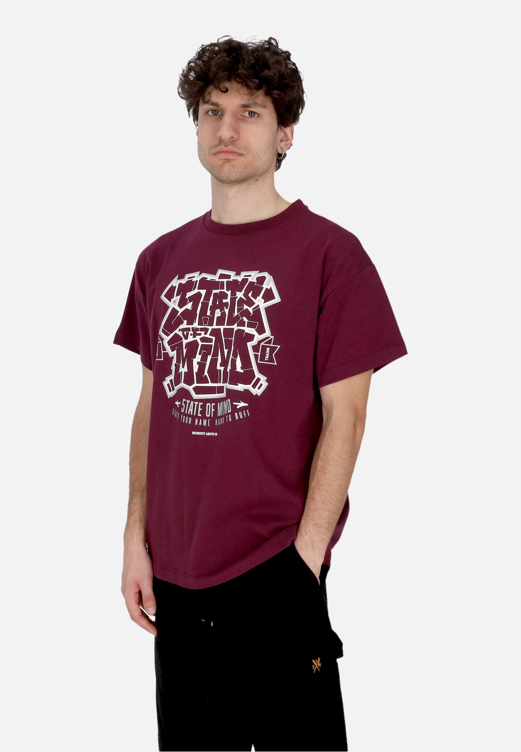 Maglietta Uomo Graffiti Tee Plum TSSOM4105