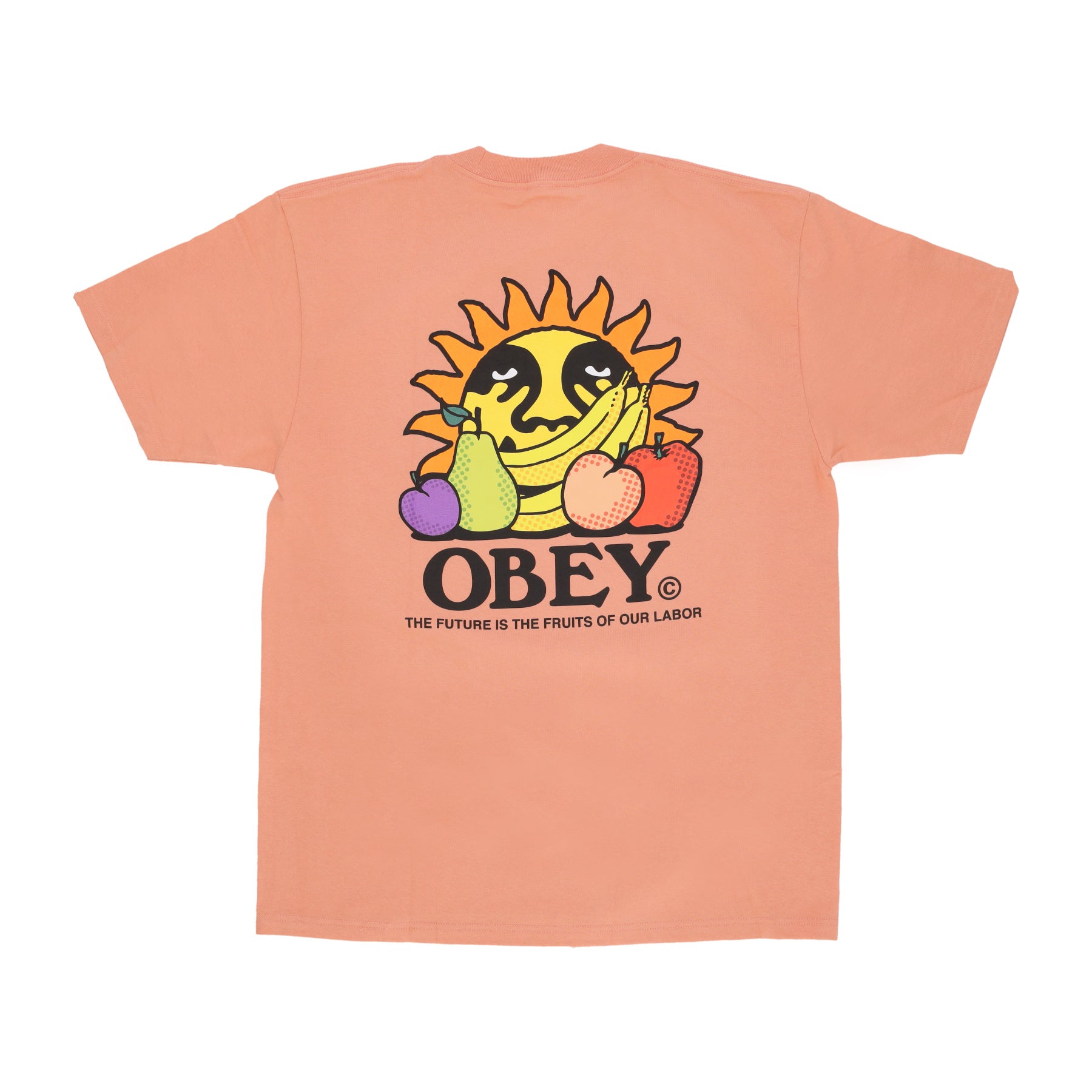 Maglietta Uomo The Future Is The Fruits Of Our Labor Tee Citrus 165263698