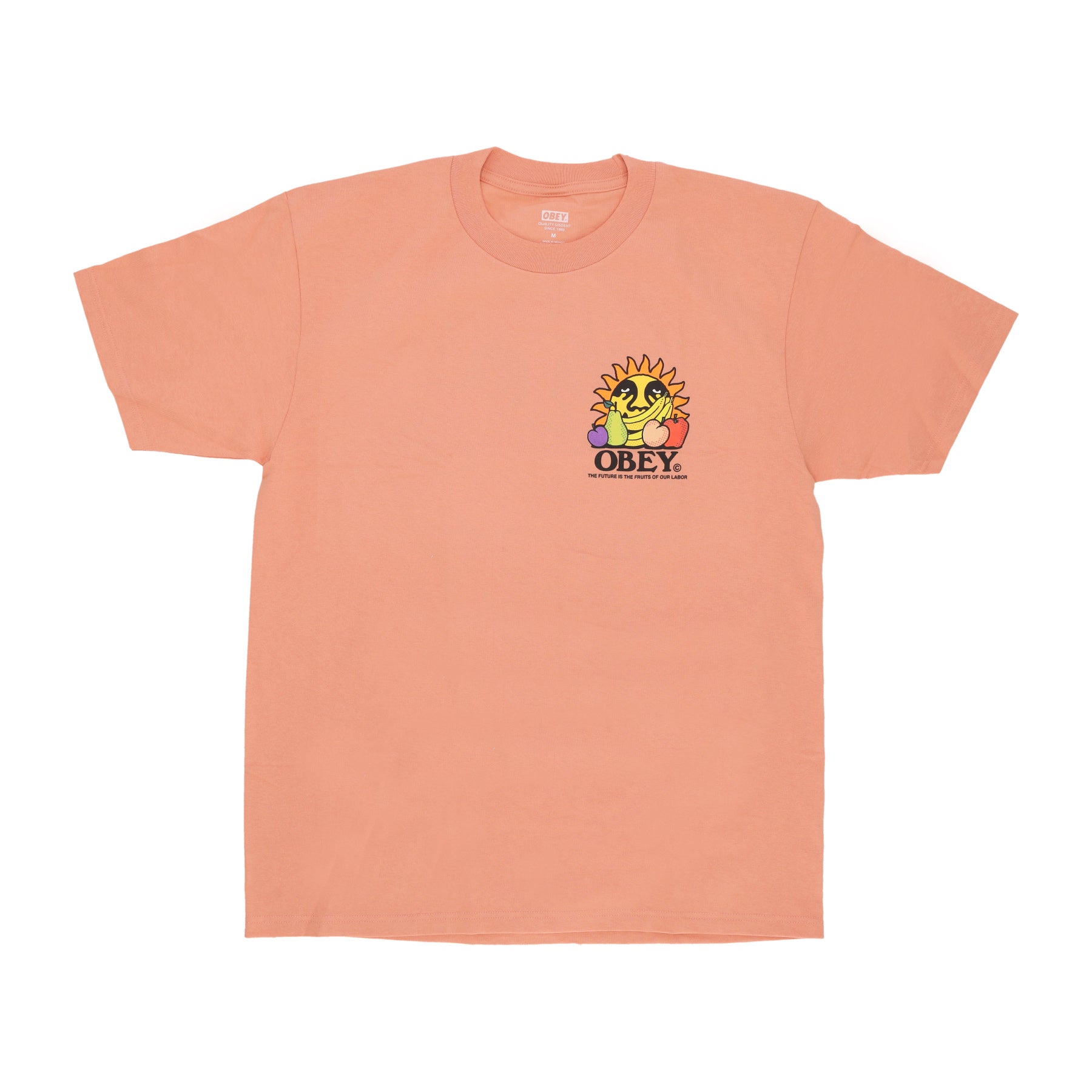 Maglietta Uomo The Future Is The Fruits Of Our Labor Tee Citrus 165263698